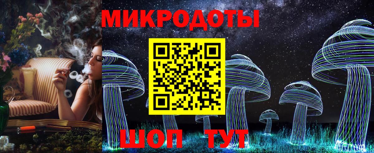 Галлюциногенные грибы Psilocybine cubensis Мурино